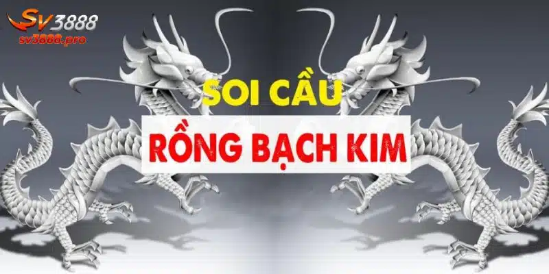 Có nên soi cầu tại trang web rongbachkim 777 hay không